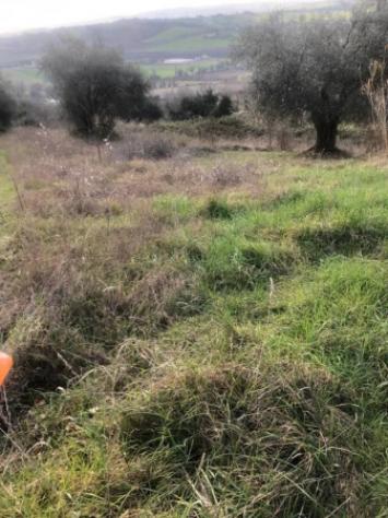 Immobile in asta di 15242 m² in vendita a Gradara - Foto 2