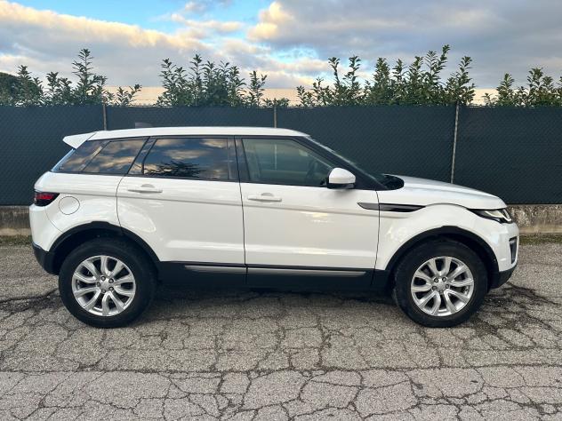Land Rover Range Evoque 2.0 TD4 180 CV 5p. Business Edition Pure - Foto 4