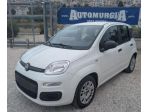 FIAT Panda 1.2 EasyPower Easy rif. 24083434