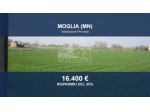 Immobile in asta di 14267 m² in vendita a Moglia