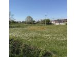 Terreno edificabile di mq 708 per villa o appartamenti in villa vendita con &hellip;