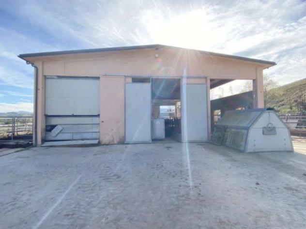 Immobile in asta di 56 m² in vendita a Pergola - Foto 4