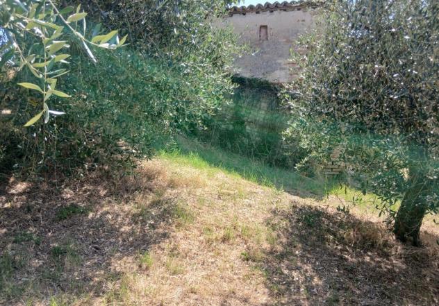 Rustico in vendita a Montecastrilli - Foto 5