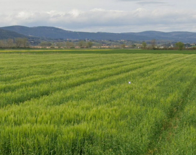 Terreno agricolo in vendita a San Rocco a Pilli - Sovicille 83000 mq  Rif: 1270955