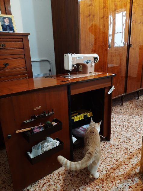 Macchina da cucire NECCHI Mod .LAURA dei primi anni 60 - Foto 5