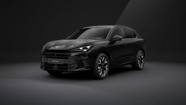 CUPRA Terramar Terramar 2.0 tsi Impulse 4drive 204cv dsg
