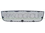 GRIGLIA CENTR. PARAURTI ANT. FT9092120 Carrozzeria  Lamierati esterni  Para &hellip;
