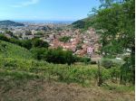Terreno agricolo in vendita a Fossola - Carrara 6000 mq  Rif: 1413610