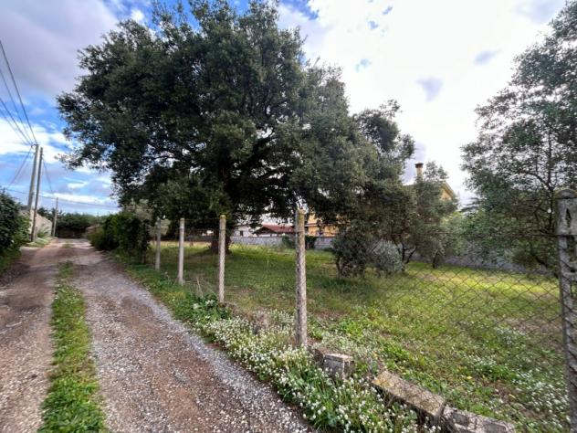 Edificabile in Via Carpineto Romano - Foto 10