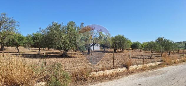 Terreno in vendita a Noto - Foto 6