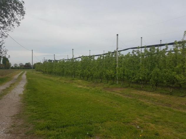 Terreno di 240 m² in vendita a Soliera