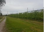 Terreno di 240 m² in vendita a Soliera