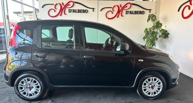 FIAT Panda 1.0 FireFly 70cv S&S Hybrid - Foto 5
