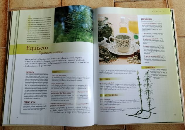 Libro "I rimedi dell'erborista" - Foto 4