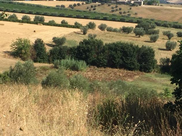 Terreno edificabile in vendita a Colonnella - Foto 14