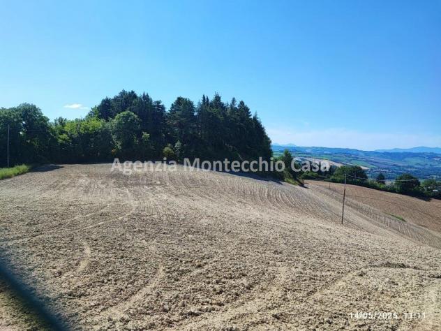 Terreno agricolo, bosco e capanno - Foto 5