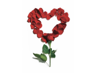 Amore e incontri Napoli - Relazione seria e sincera Tel:3505805638