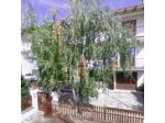 B&B La Betulla