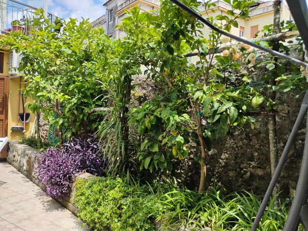 Casa Sapri luglio e Agosto - Foto 4
