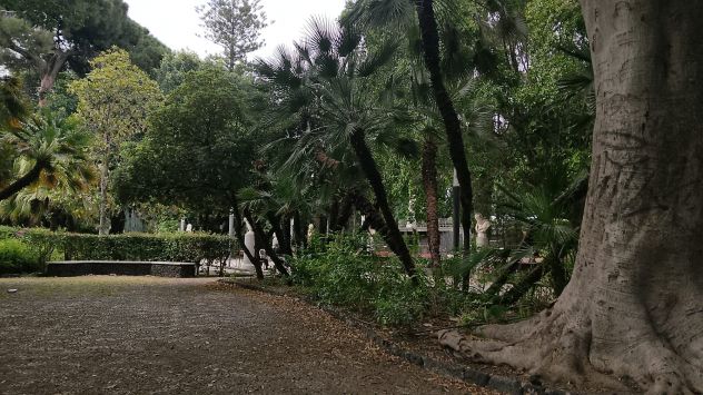 Insegnante in scuola Privata - Foto 2