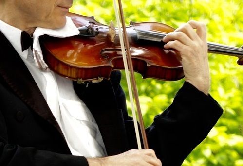 Violinista per cerimonie Tremezzina
