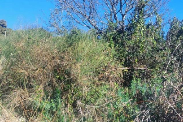 Immobile in asta di 1180 m² in vendita a Pedara - Foto 4