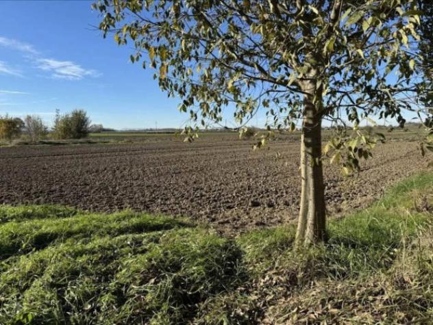 Immobile in asta di 17533 m² in vendita a San Possidonio - Foto 7
