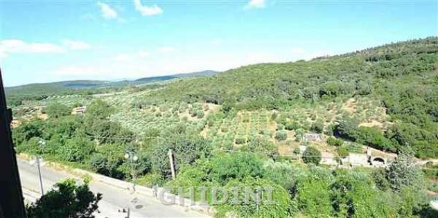 APPARTAMENTO INDIPENDENTE di 5 vani e di 130 mq (GROSSETO - CENTRO) rif. 2498.301M - Foto 15