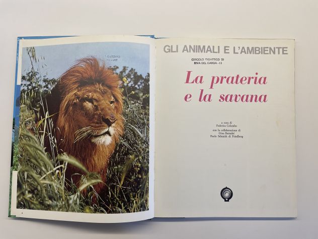 Gli animali e l'ambiente, La prateria e la savana, F. Colombo, 1974 - Foto 3
