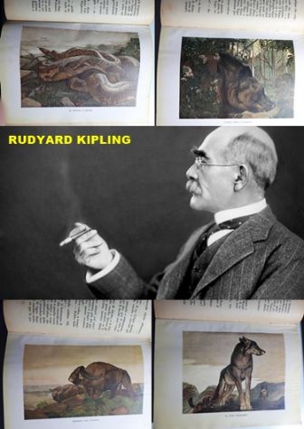 IL PRIMO LIBRO DELLA GIUNGLA, RUDYARD KIPLING, CASA EDITRICE MARZOCCO 1948.