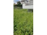 Villetta a schiera in vendita a Empoli 170 mq  Rif: 957171