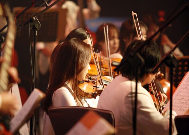 Violinista professionista a Baveno