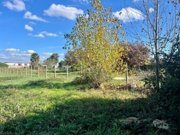 Agricolo in Via Isillo - Foto 4