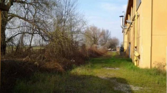 Immobile in asta di 30 m² in vendita a Casalmaggiore - Foto 8