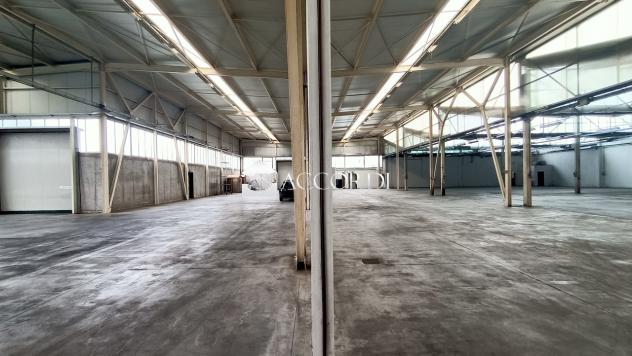 CAPANNONE di 3 vani e di 3025 mq (PEDEROBBA) rif. BL012
