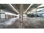 CAPANNONE di 3 vani e di 3025 mq (PEDEROBBA) rif. BL012