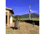 Mazzocco Luciana