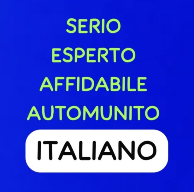 Sorvegliante pulitore autista aiutante