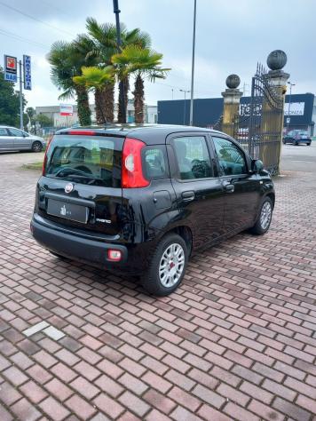 Fiat Panda 1.0 FireFly S&S Hybrid - Foto 5