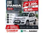 FIAT Panda 1.0 FireFly 70cv S&S Hybrid KM 0