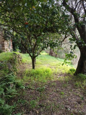 Terreno in vendita a Ficarra - Foto 3