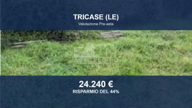 Immobile in asta di 26508 m² in vendita a Tricase