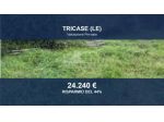 Immobile in asta di 26508 m² in vendita a Tricase