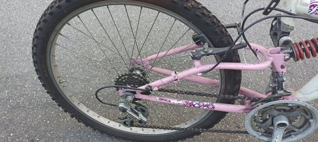 Mountain bike a prezzo buono - Foto 8