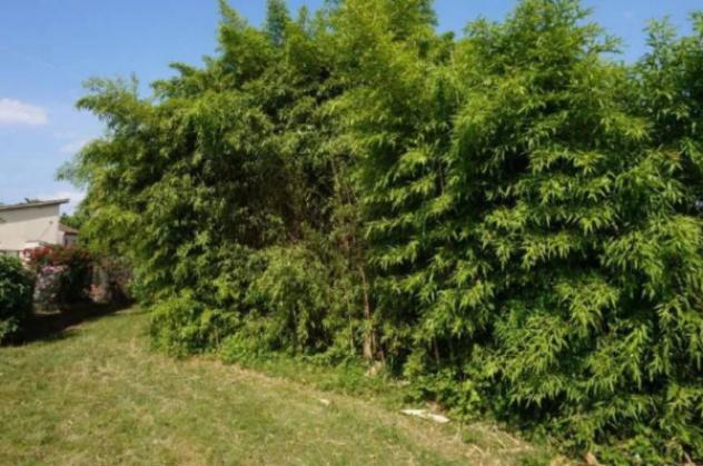 Immobile in asta di 40 m² in vendita a Marcaria - Foto 11