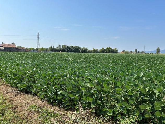 Seminativo in vendita a Castegnero - Foto 2