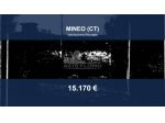 Immobile in asta di 18271 m² in vendita a Mineo