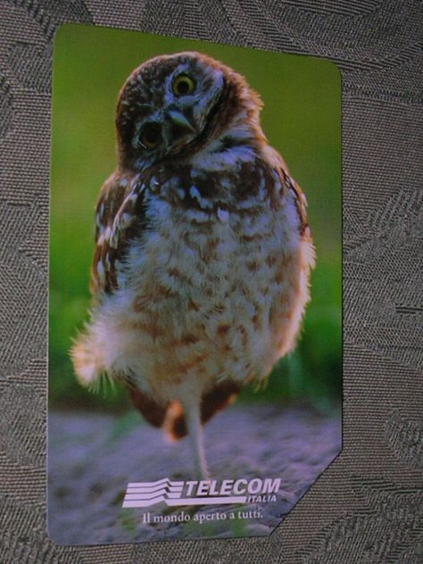 SCHEDA TELEFONICA ITALIA 65U - Foto 2