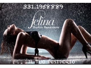*Studio FELINA* ANNA e ANGELINA dolci come il miele,Profumate come una rosa🌹