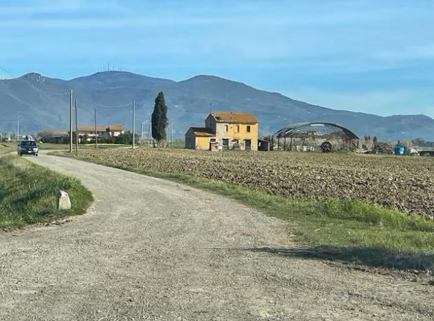 Appartamento in affitto a Marciana - Cascina 85 mq  Rif: 1230593